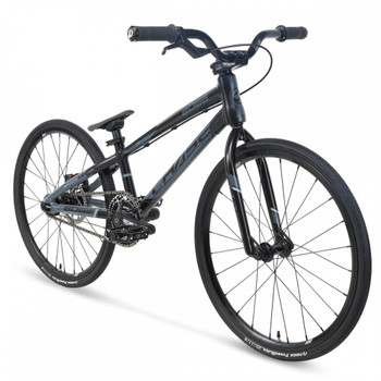 Chase Edge Mini Bike