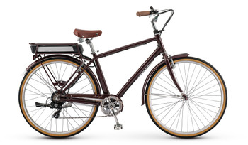 Raleigh Electric Superbe iE