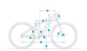 Fuji Dynamite 24 Pro Disc Bike Sizing and Geometry