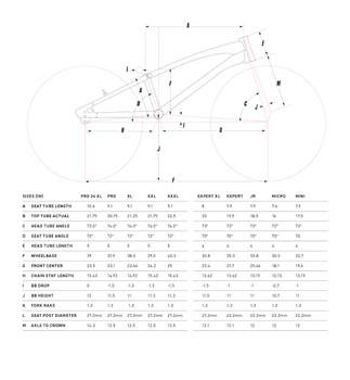 GT Race Bike Sizing and Geometry