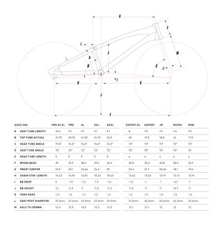 GT Race Bike Sizing and Geometry