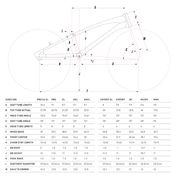 GT Race Bike Sizing and Geometry